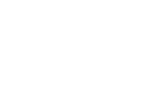 Mintpark Logo